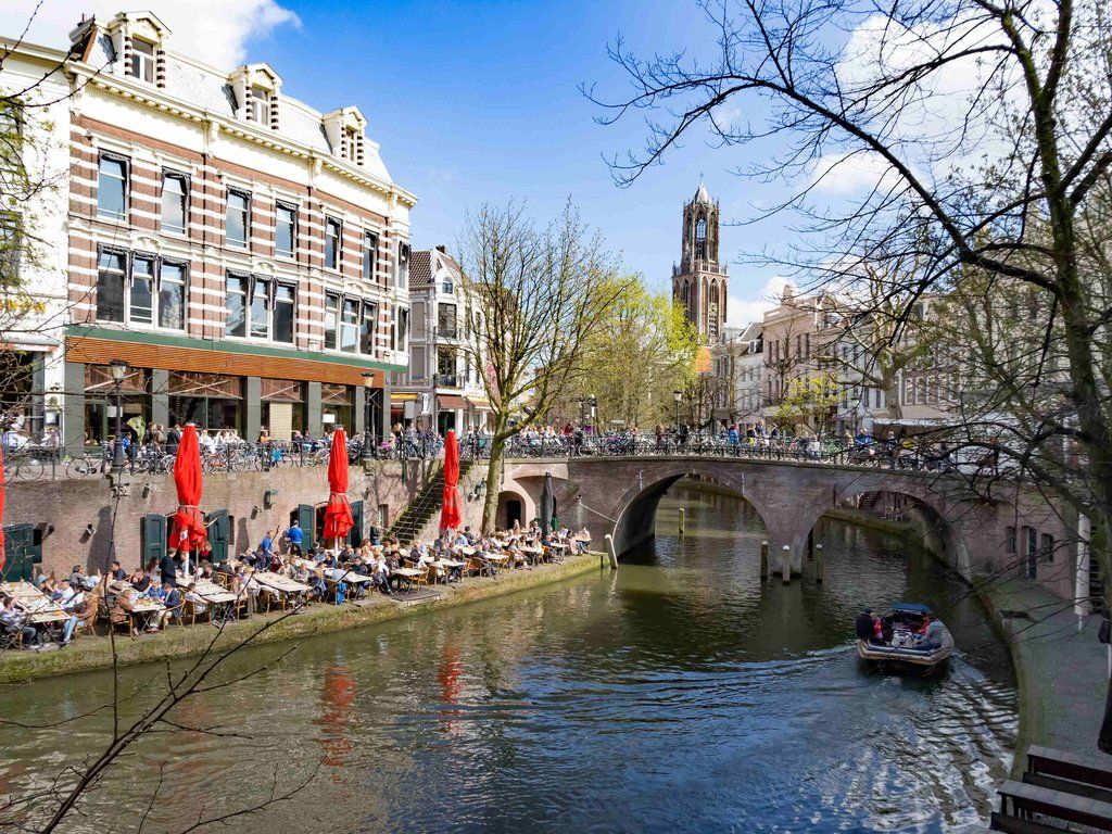 Ibis 3*